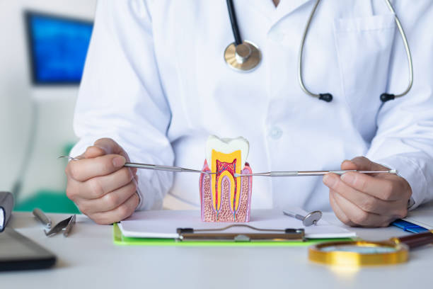 Best Urgent Tooth Repair  in Lutherville, MD